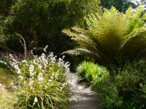 Der Beach Path in Trebah