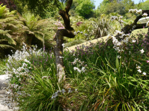 Der Beach Path in Trebah