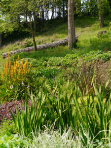 Healeys Hill am Mallard Pond von Trebah Garden