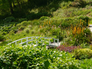 Die Mallard Bridge im Trebah Garden.