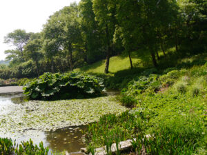 Der "Mallard Pond" im Trebah Garden