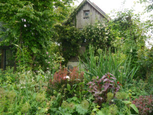 Hausgarten Roswitha Amschler