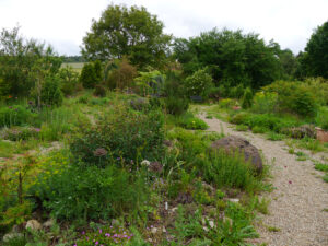 Naturgarten von Roswitha Amschler