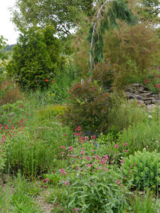 Amschler Roswitha, Naturgarten