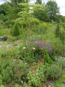 Amschler Roswitha, Naturgarten