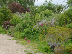 Naturgarten Roswitha Amschler