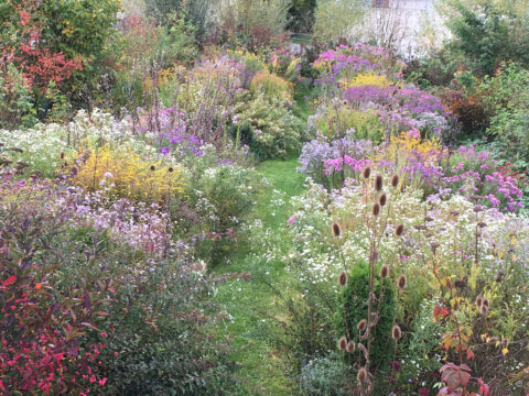 Im Präriegarten, Foto von Roswitha Amschler