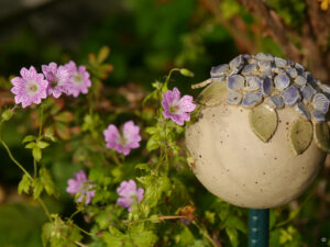 Geranium versicolor in Wurzerlsgarten