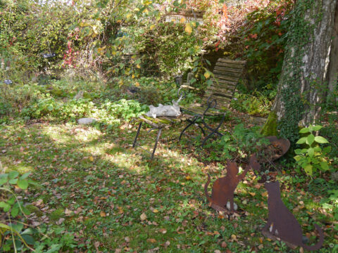 Die Wiese in Wurzerlsgarten