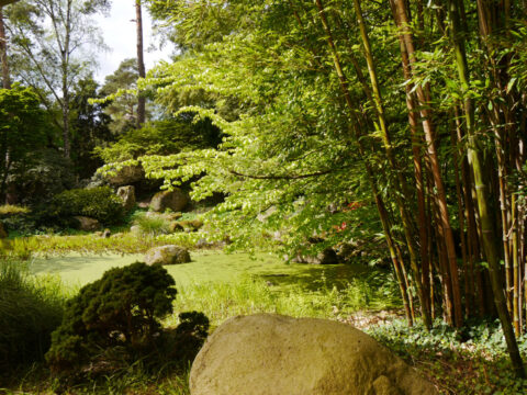 Kleine Teichlandschaft nach dem Eingangsbereich, Vogelpark Walsrode