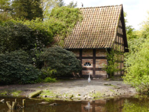 Stall mit Fischreihern, Ardea cinerea, Walsrode