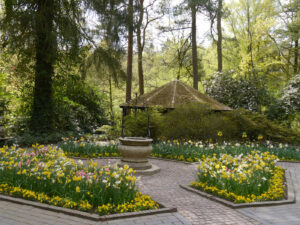 Ein älterer Teil des Vogelparks Walsrode