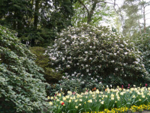 Frühling in Walsrode