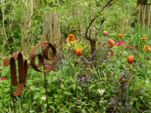 Tulpen in der Waldschlucht Wubsbos, Winschoten