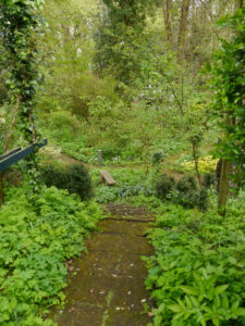 Waldschlucht Wubsbos, Winschoten