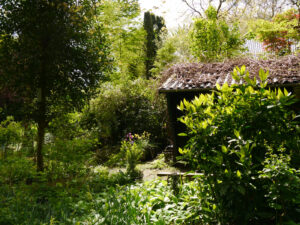 Waldschlucht Wubsbos, Winschoten