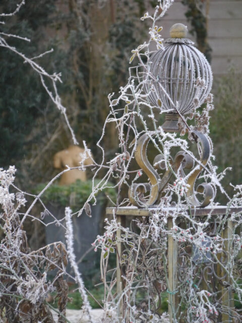 Wurzerlsgarten am 01.01.25