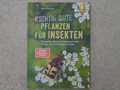 Cover von "Richtig gute Pflanzen für Insekten" von Elke Schwarzer